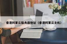 乙方为甲方或甲方所属用户提供intelnet信息服务