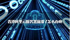 重庆香重庆香港服务器托管 港服务器托管,服务器托管可以