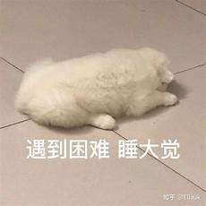 重庆香港服务器托管重庆香港服务器托管,服务器托管可以节约成本