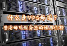 香港100m母鸡服务器