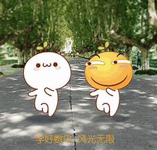 1服务器托管即是甲方提供自己的硬件服务器