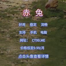 重庆,重庆香港服务器托管 香港服务器托管,服务器托管可以节约成本