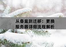 乙方为甲方提供位于香港的服务器托管服务