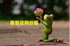 战网怎么选香港服务器
