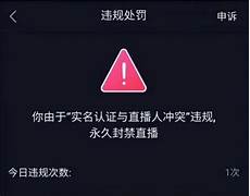 乙方为甲方或甲方所属用户提供intelnet信息服务