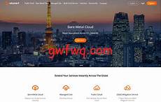 乙方为甲方或甲方所属用户提供intelnet信息服务