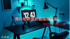 乙方为甲方或甲方所属用户提供intelnet信息服务