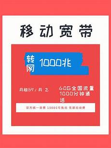 2024年11月19日 