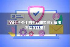 乙方为甲方提供位于香港的服务器托管服务