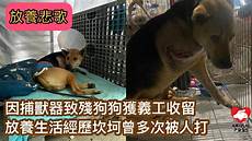 狗爹香港服务器