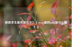 绝地求生是香港服务器