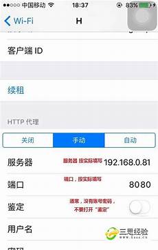 2024年10月15日 
