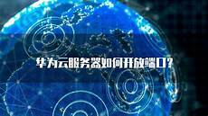 本文将详细介绍香港云服务器托管的诸多优
