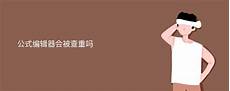 乙方为甲方或甲方所属用户提供intelnet信息服务