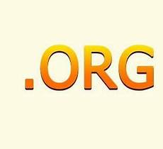 org域名用香港服务器