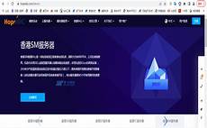 乙方为甲方或甲方所属用户提供intelnet信息服务