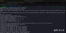 乙方为甲方或甲方所属用户提供intelnet信息服务
