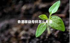 重庆香港服务器托管重庆香港服务器托管,服务器托管可以节约成本