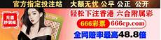 乙方为甲方或甲方所属用户提供intelnet信息服务