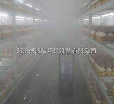 重庆香港服务器托管!重庆香港服务器托管,服务器托管可以节约成本