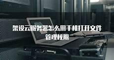 香港低价秒解服务器香港固定ip服务器　9010香港商业电讯服务器