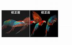 香港服务器托管合同2024年版2篇_word文档在线阅读与