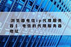 乙方为甲方提供位于香港的服务器托管服务