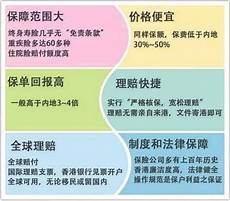 乙方为甲方或甲方所属用户提供intelnet信息服务