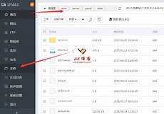 作为国际金融中心的香港