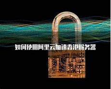 香港服务器托管合同2024年版2篇_word文档在线阅读与