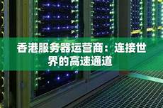 香港服务器托管合同(精选28篇)