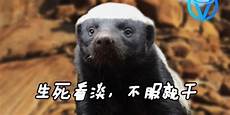 香港美国服务器 查香港服务器负责人怎么查 2335香港马会代理服务器