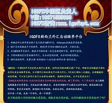 外汇平台服务器都在香港吗