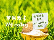 重庆香港服务器托管重庆香港服务器托管,服务器托管可以节约成本