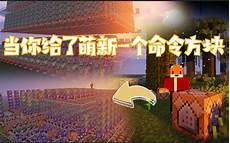 香港服务器托管合同 篇1