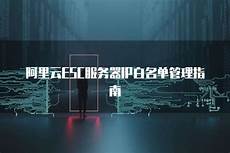 还是国内大陆地区服务器