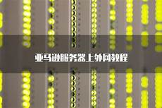 并将服务器置于乙方网络环境