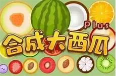 2024年11月19日 