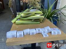 重庆服务器_重庆服务器租用_重庆服务器托管_重庆热
