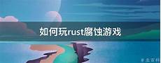 2024年11月19日 