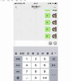 乙方为甲方或甲方所属用户提供intelnet信息服务