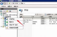 乙方为甲方或甲方所属用户提供intelnet信息服务