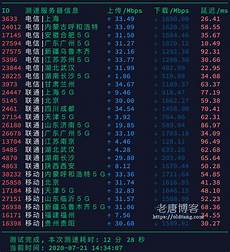 香港服务器托管合同2024年版2篇_word文档在线阅读与