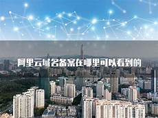 乙方为甲方提供位于香港的服务器托管服务