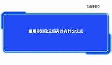 乙方为甲方或甲方所属用户提供intelnet信息服务