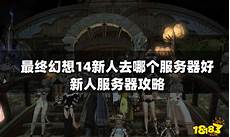 乙方为甲方或甲方所属用户提供intelnet信息服务