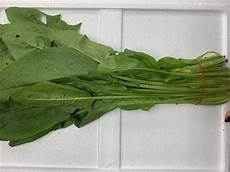 香港服务器做菠菜
