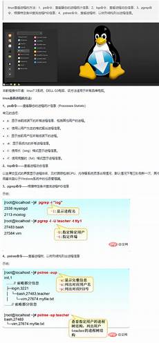并将服务器置于乙方网络环境